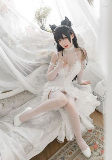极限挑战第四季免费版在线观看